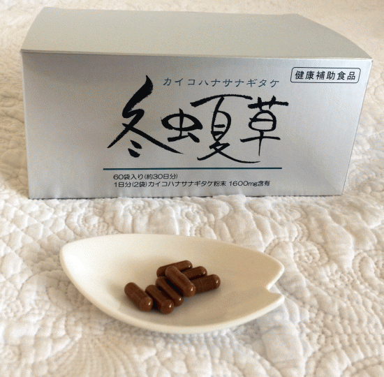 冬虫夏草 アントコルディ1200 ②箱 （冬虫夏草1200 （120粒/約1ヶ月分 